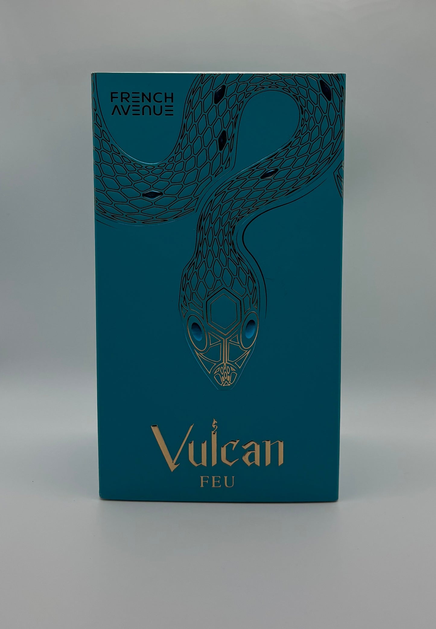 Vulcan Feu (inspiration God Of Fire)