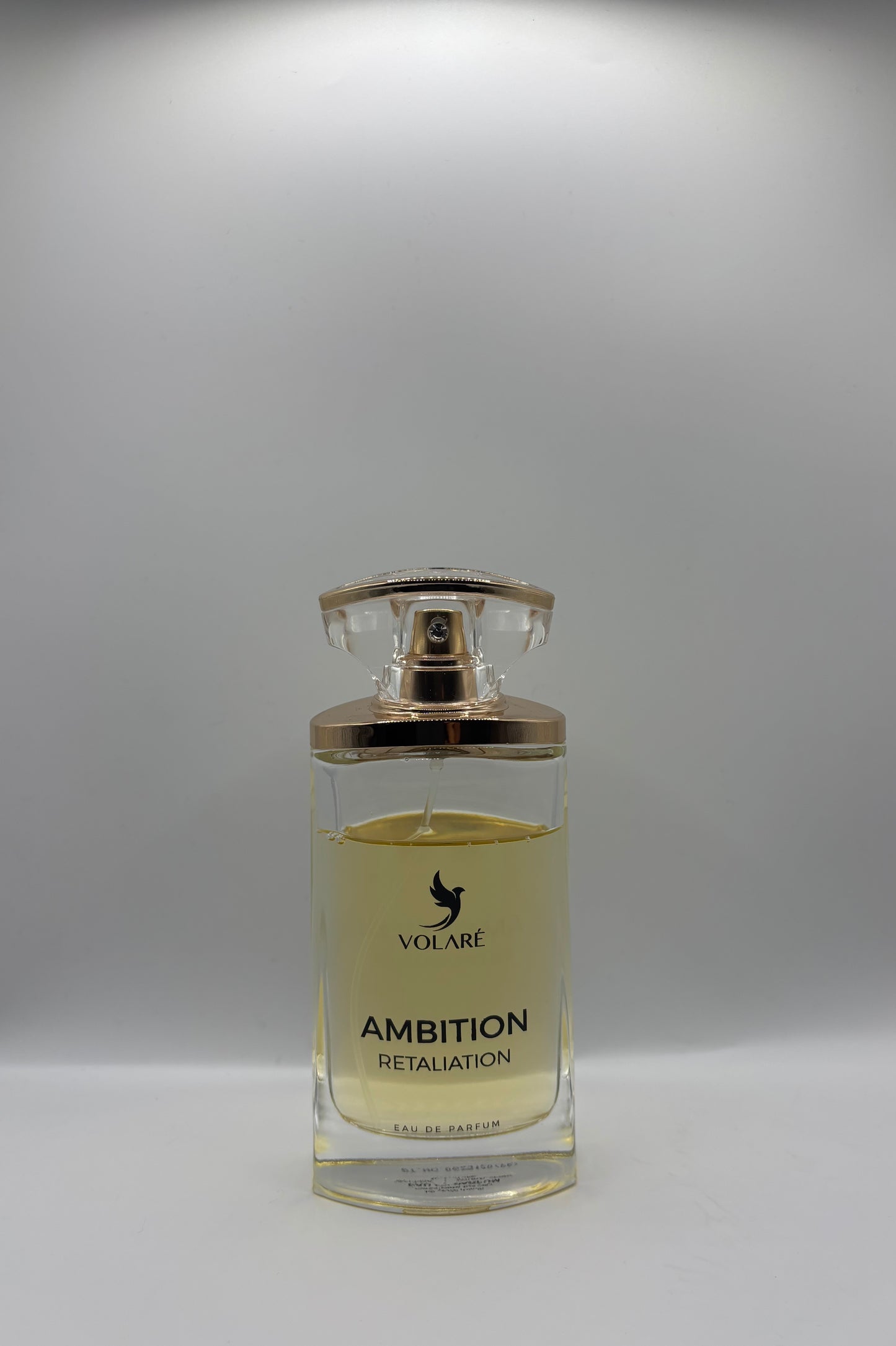 Ambition (inspiration Reflexion man)