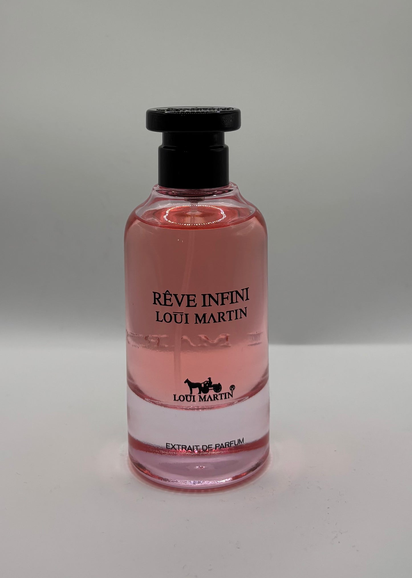 Rêve infini (Inspiration Attrape rêve)
